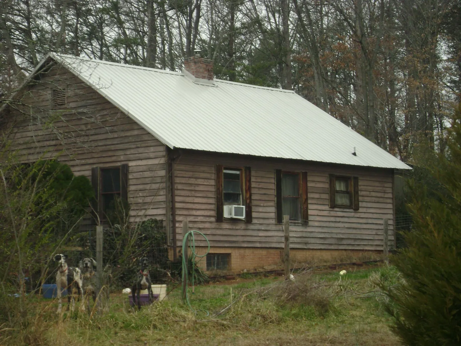 White metal roof on an old wood sided farmhouse, from a Asphalt Shingle Roof Repair job in Sylvania